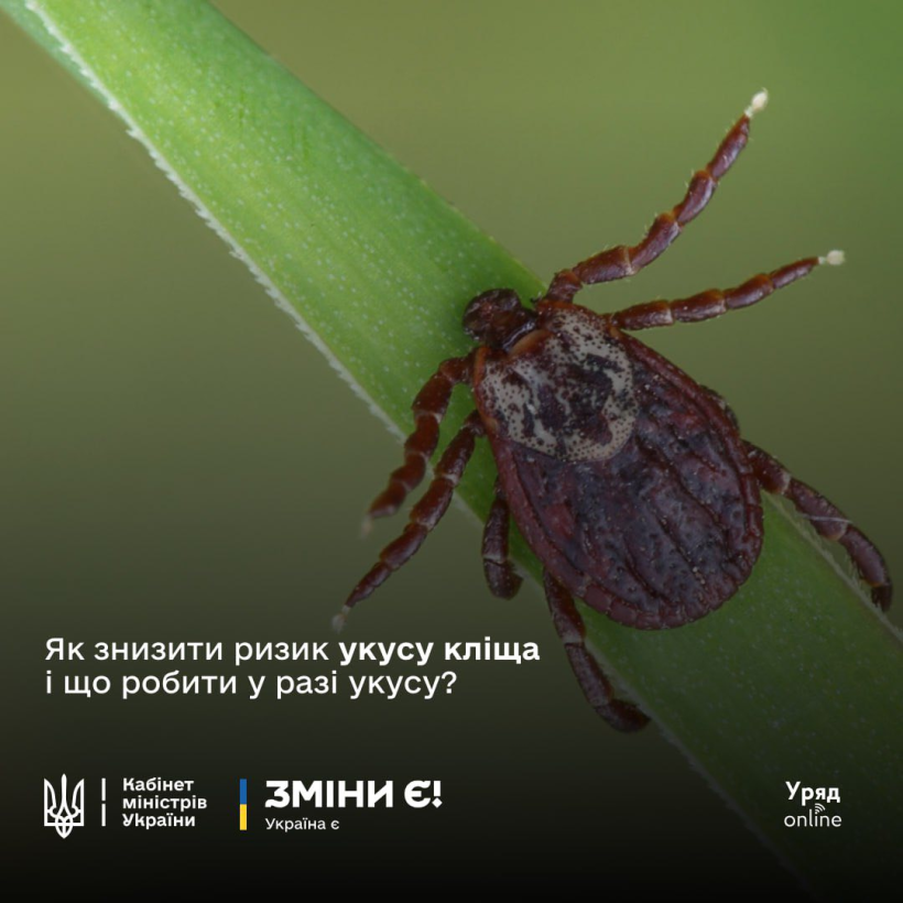 Фото ілюстративне