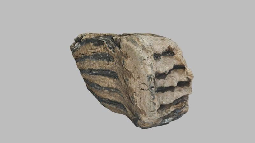 Зуб мамонта у 3-D форматі
