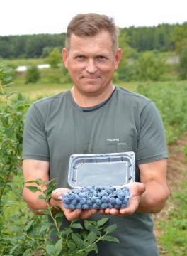 Ігор ФІнюк на фоні насаджень лохини тримає в руках лоток з ягодами