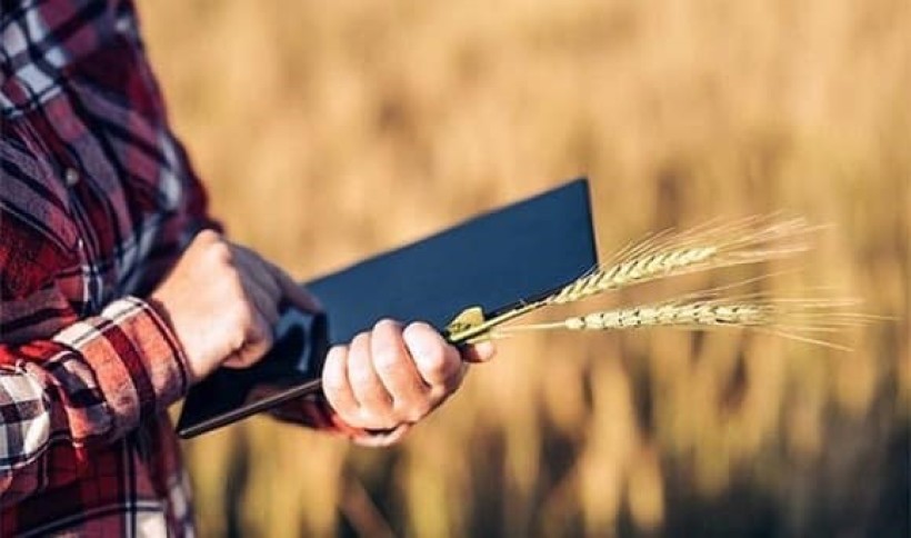 Аграрії Рівненщини отримали понад 12 млн грн дотацій на оброблювані угіддя