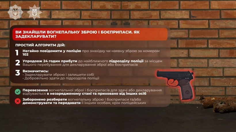Інфографіка "Що потрібно знати про декларування зброї"