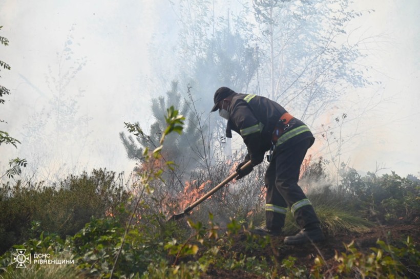 Рятувальники гасять пожежу на Сарненщині