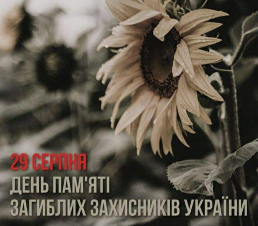 Фото ілюстративне - чорно-білі квіти соняха і напис: 29 серпня - День пам'яті загиблих захисників України