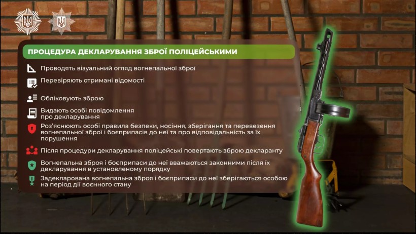 Інфографіка "Що потрібно знати про декларування зброї"
