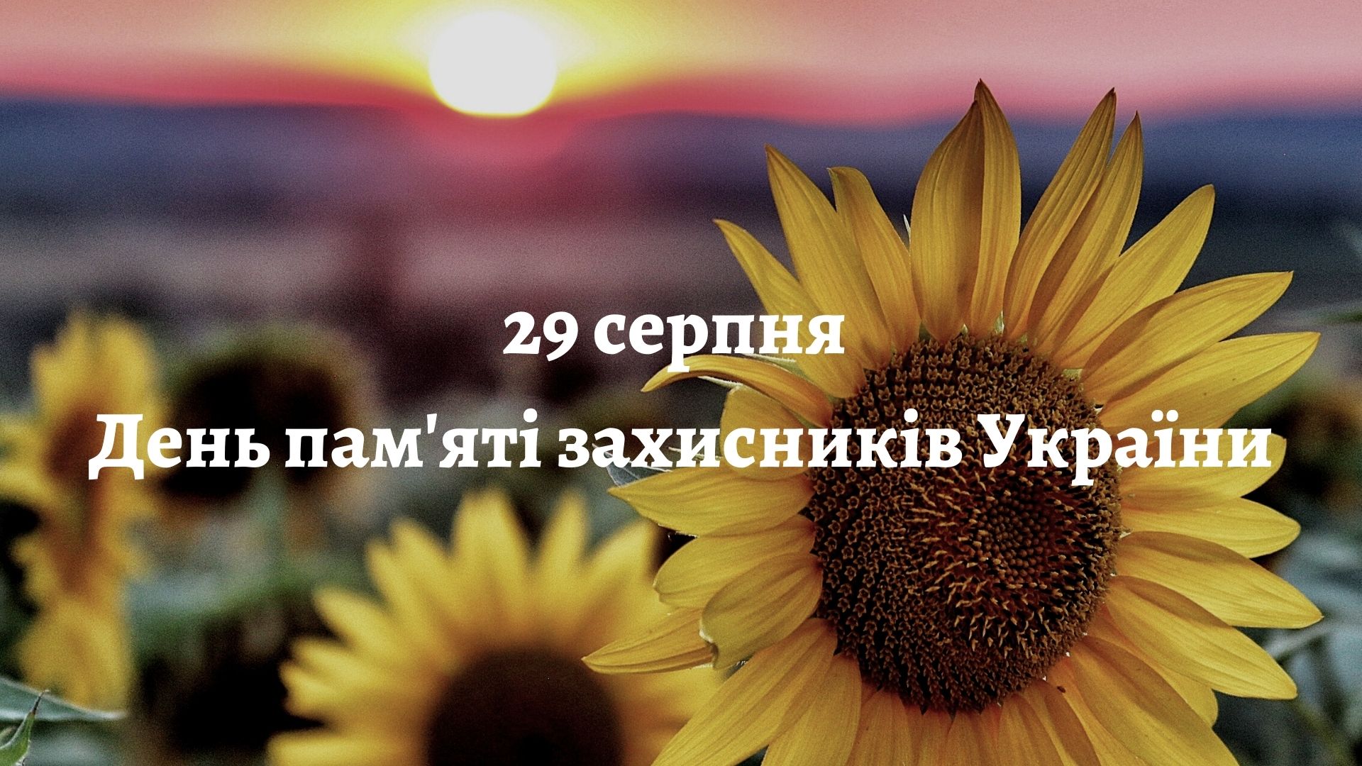 29 серпня на Рівненщині вшанують пам&#39;ять захисників України | Рівненська  обласна державна адміністрація