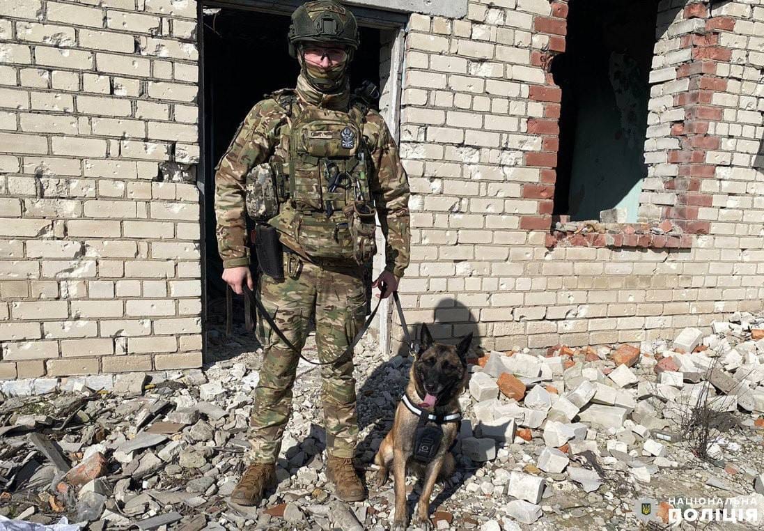 Фото з розмінування Херсонщини