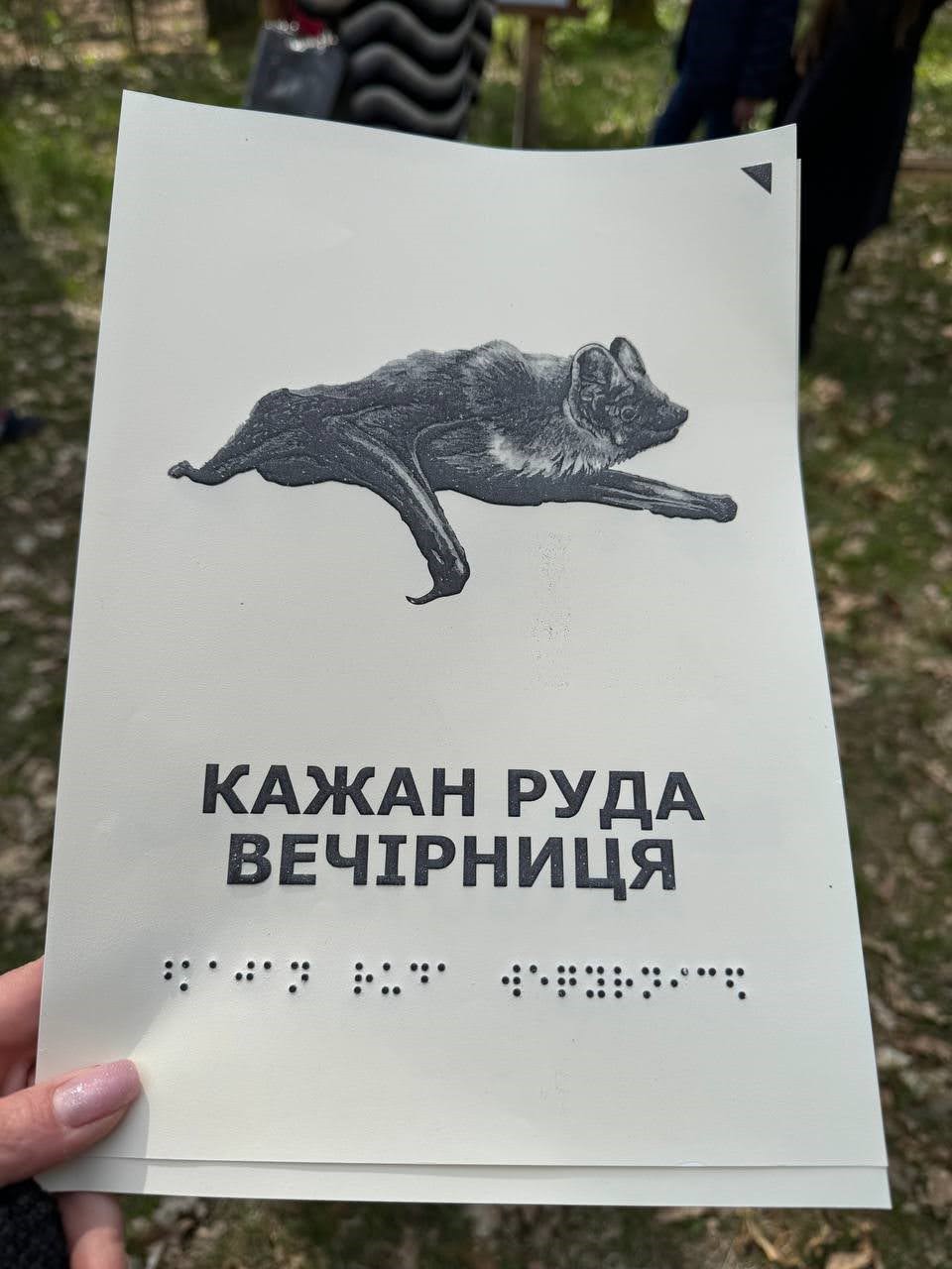 Екостежка «Урочище Вільхава» на території НПП «Дермансько-Острозький