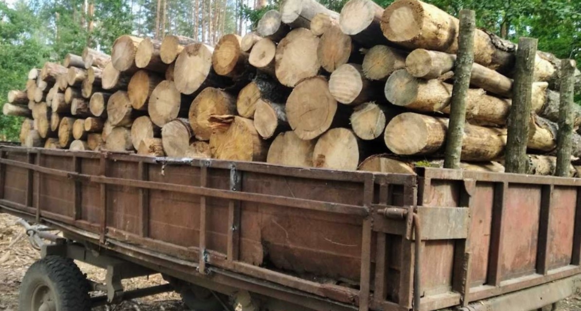 На причепі - деревина. Фото ілюстративне