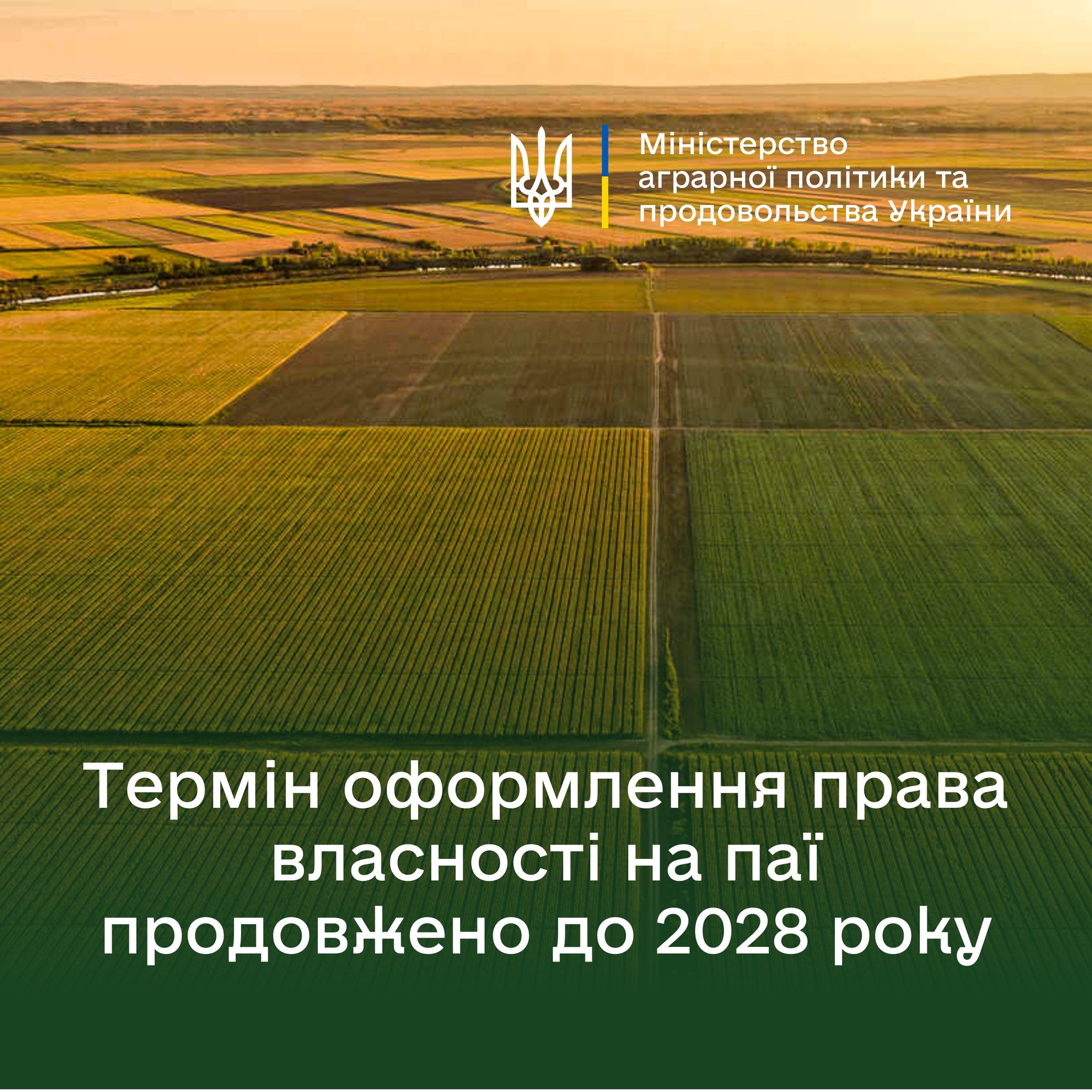 Ряди сільськогосподарських полів, що простягаються до горизонту, освітлені теплим вечірнім сонцем. У верхньому правому куті розташований логотип Міністерства аграрної політики та продовольства України, поруч із текстом назви міністерства. У нижній частині на зеленому фоні написано: «Термін оформлення права власності на паї продовжено до 2028 року»
